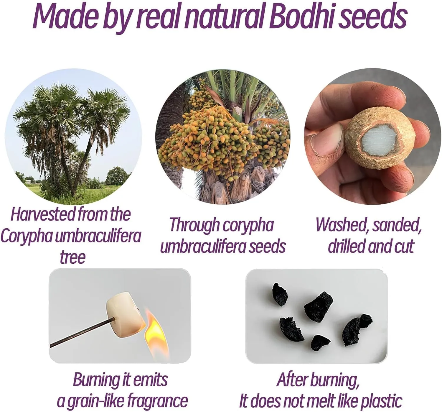 Natural Bodhi Seeds Beaded Bracelets, Fidget Toy for Effectively Alleviate Anxiety Stress, Protection Healing Bodhi Bracelet, Addictive Fidget Toy Bracelet for Women Men with Gift Box